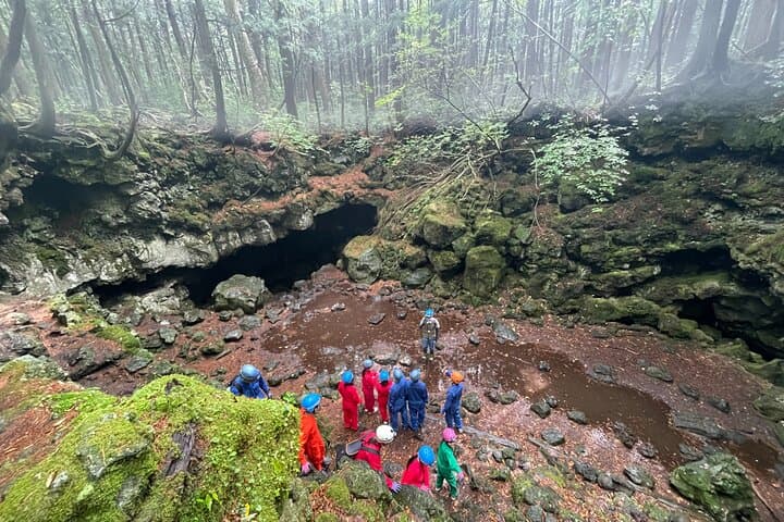 Hiking and Caving in Aokigahara Forest at the Foot of Mt. Fuji — photo 2