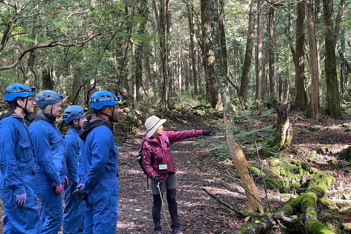 Hiking and Caving in Aokigahara Forest at the Foot of Mt. Fuji — photo 3