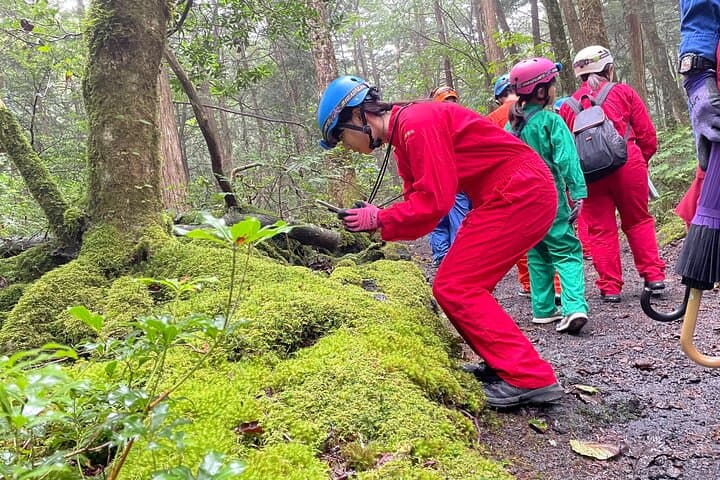 Hiking and Caving in Aokigahara Forest at the Foot of Mt. Fuji — photo 5