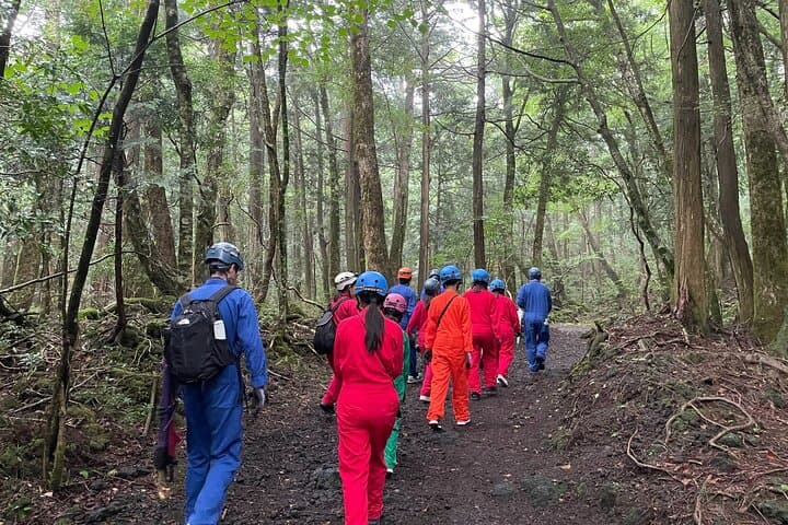Hiking and Caving in Aokigahara Forest at the Foot of Mt. Fuji — photo 4