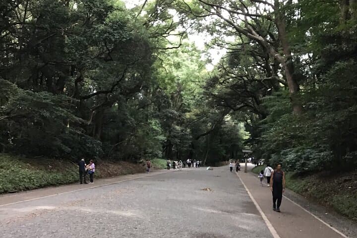 Tokyo: Meiji Jingu Cultural Walking Tour with Japanese Historian — photo 15