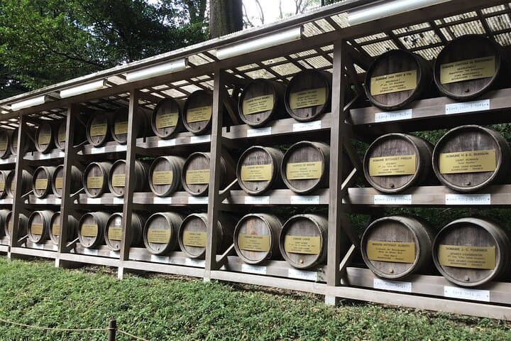 Tokyo: Meiji Jingu Cultural Walking Tour with Japanese Historian — photo 12