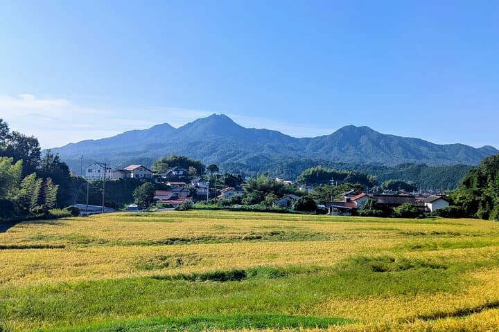 Hiroshima Forest Kyudo and Village Life Experience — photo 8