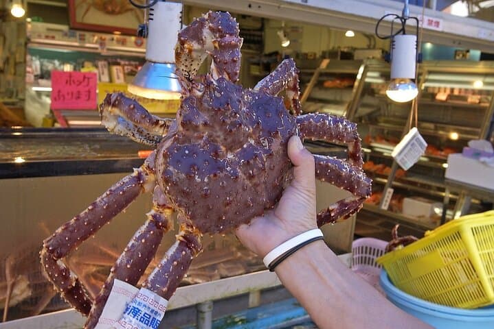 Sapporo Day Trip: Market, Okurayama, Shiroi Koibito & Otaru Canal — photo 10