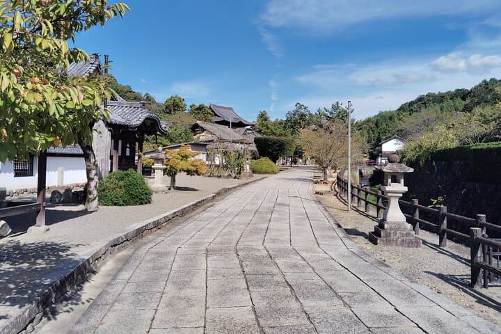 Wakayama: Sacred Serenity of Kokawa-dera Temple Tour — photo 12