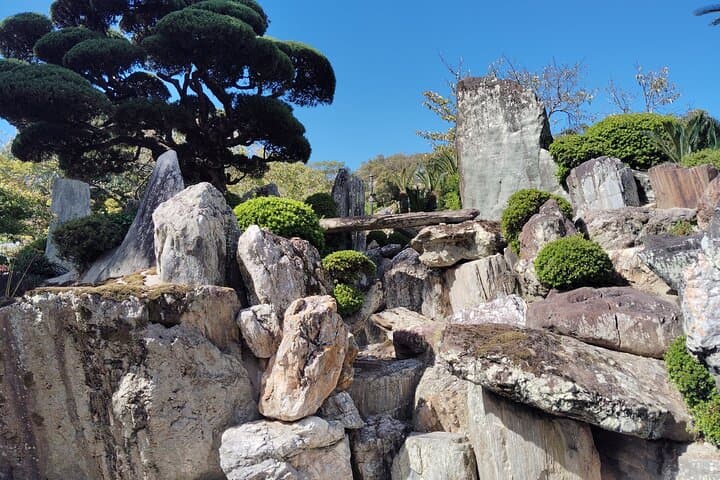Wakayama: Sacred Serenity of Kokawa-dera Temple Tour — photo 7