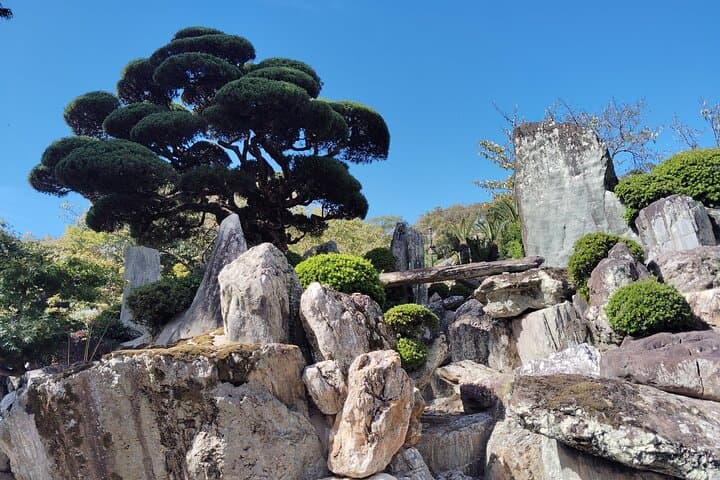 Wakayama: Sacred Serenity of Kokawa-dera Temple Tour — photo 3