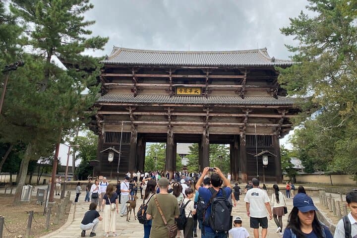 Nara Highlights Guided Tour by Private Car from Osaka — photo 6