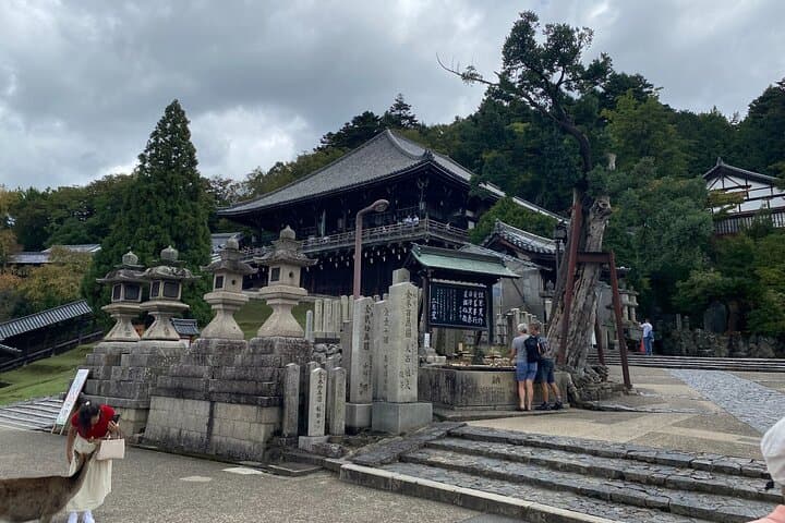 Nara Highlights Guided Tour by Private Car from Osaka — photo 15