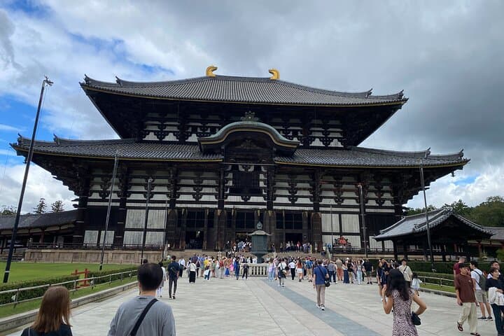Nara Highlights Guided Tour by Private Car from Osaka — photo 4