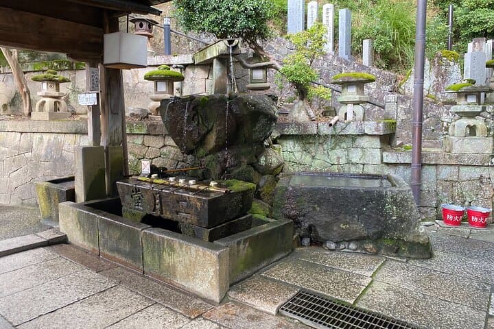 Nara Highlights Guided Tour by Private Car from Osaka — photo 14