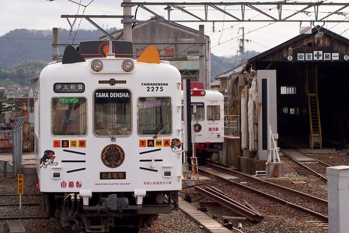 Wakayama: Cat Stationmaster Adventure on the Kishigawa Line — photo 11