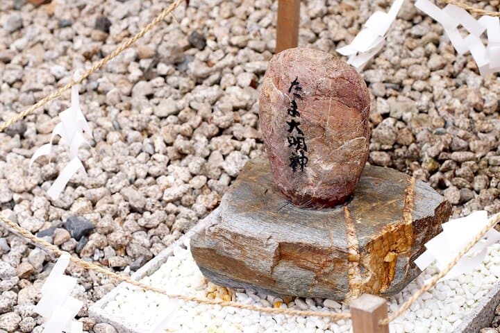 Wakayama: Cat Stationmaster Adventure on the Kishigawa Line — photo 5