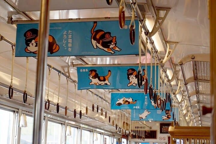 Wakayama: Cat Stationmaster Adventure on the Kishigawa Line — photo 6