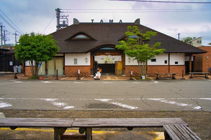 Wakayama: Cat Stationmaster Adventure on the Kishigawa Line — photo 9