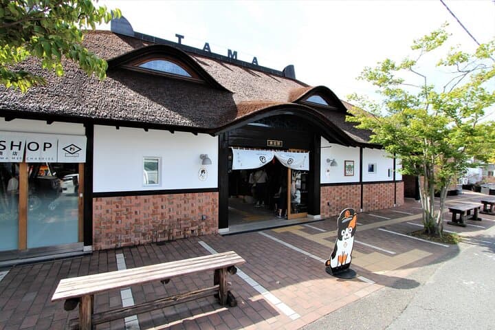 Wakayama: Cat Stationmaster Adventure on the Kishigawa Line — photo 4