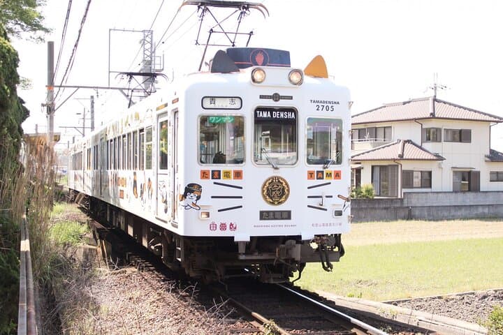 Wakayama: Cat Stationmaster Adventure on the Kishigawa Line — photo 14