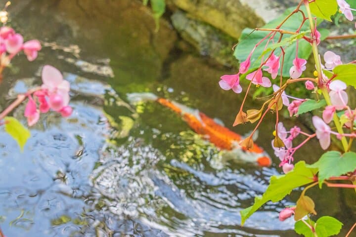 Kyoto Mystery Route Adventure Journey Off the Beaten Path — photo 9