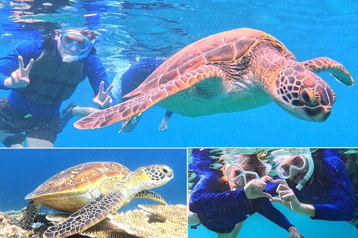 Turtle Snorkeling in Ishigaki - Fluent English! Small Group! — photo 2