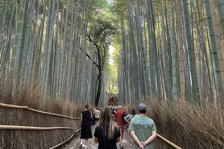 Discover the Hidden Paths of Arashiyama — photo 1