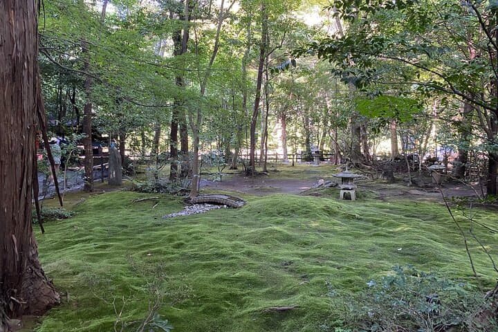 Discover the Hidden Paths of Arashiyama — photo 12