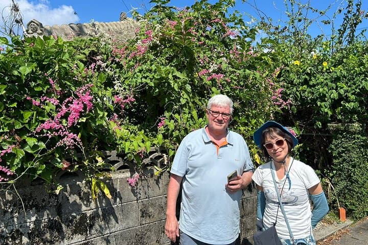 Okinawa Private Driver Tour — Flexible Itinerary, 1–5 Guests (6h) — photo 14