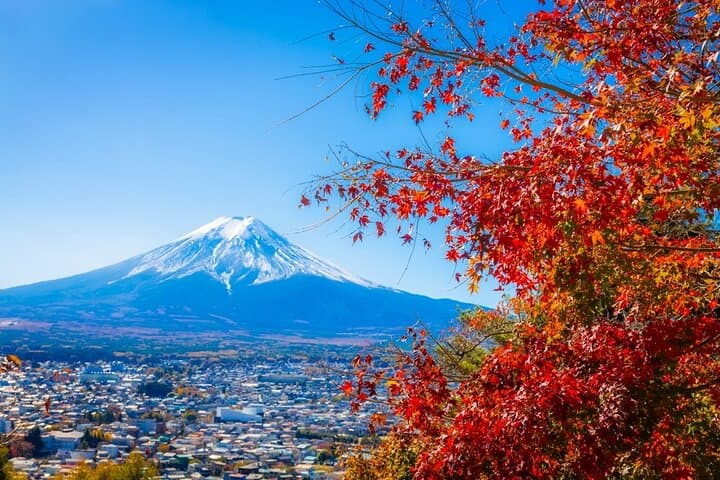 Mt Fuji Kawaguchi/Hakone/Yokohama Tokyo customize private car — photo 2