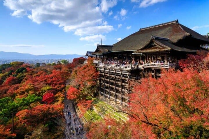 Private Full Day Kyoto HIghlights with Pick-Up and Drop-Off — photo 4