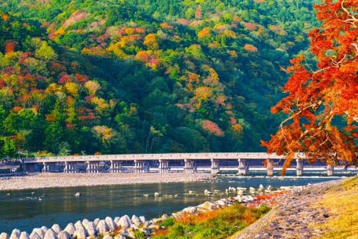 Private Full Day Kyoto HIghlights with Pick-Up and Drop-Off — photo 6