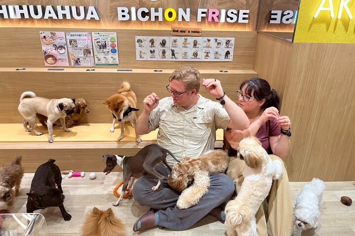 Explore Akihabara The Ultimate Anime & Food Tour Free For Kids — photo 3