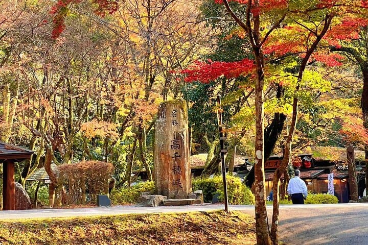 Takachiho Gorge, Shirakawa Suigen, Amanoiwato &Yasukawara Shrines — photo 16