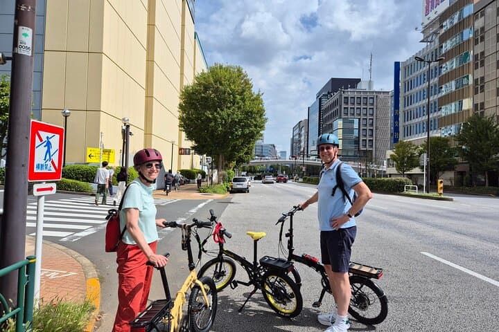 TOKYO 4hr Hidden Gardens Tour Guided by a Gardener E-bike or Walk — photo 15