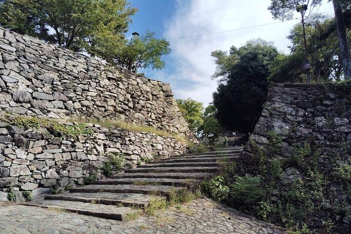Wakayama: The Tokugawa Castle That Guarded the Southern Coast — photo 4