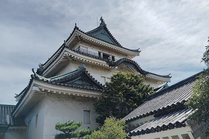 Wakayama: The Tokugawa Castle That Guarded the Southern Coast — photo 6