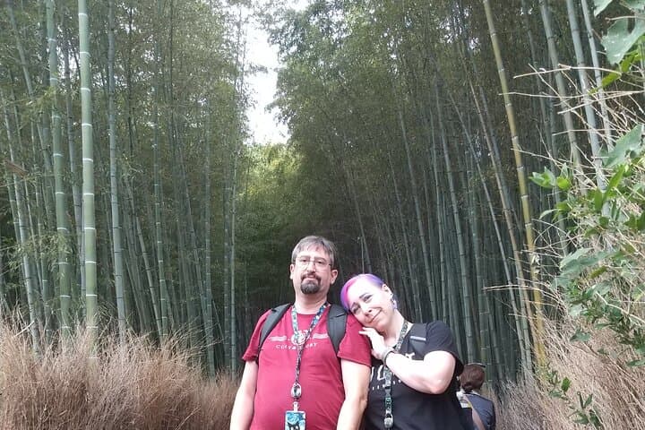 Kyoto: Arashiyama Tenryuji Temple, Bamboo Grove, and Monkeys Tour — photo 15