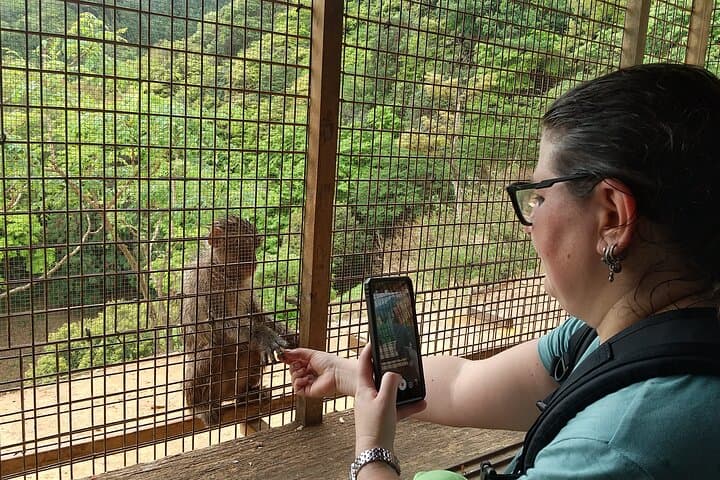 Kyoto: Arashiyama Tenryuji Temple, Bamboo Grove, and Monkeys Tour — photo 20