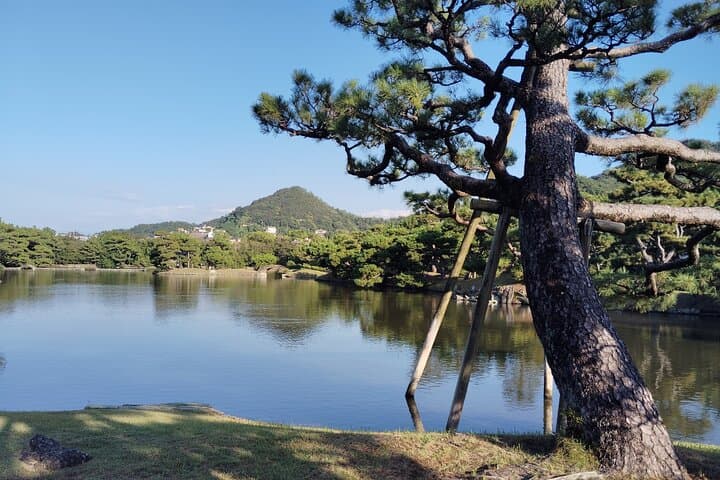 Wakayama: Yosuien – Tokugawa Garden of Edo Elegance — photo 7
