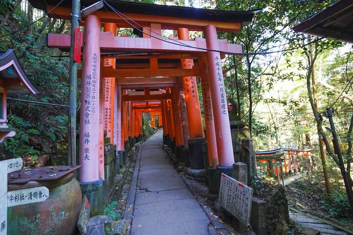 PERFECT Kyoto Day – Custom Private Tour by Award-Winning Operator — photo 19