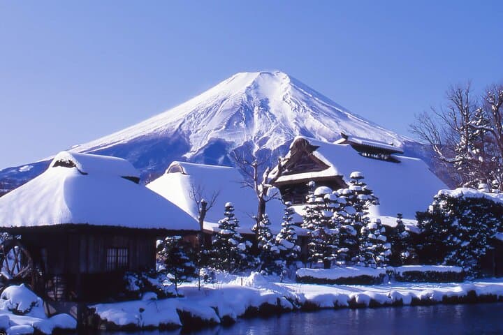 Mount Fuji Panoramic Day Trip from Tokyo — photo 2