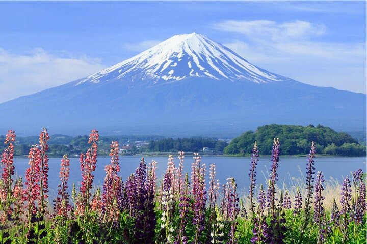 Mount Fuji Panoramic Day Trip from Tokyo — photo 4