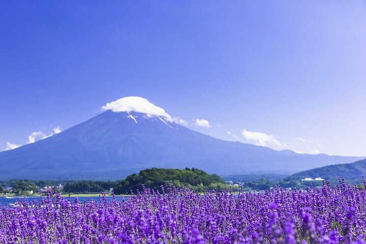 Mount Fuji Panoramic Day Trip from Tokyo — photo 7