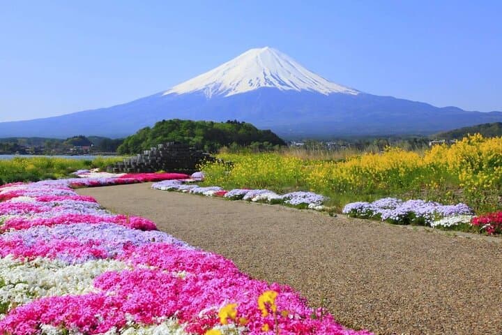 Mount Fuji Panoramic Day Trip from Tokyo — photo 8