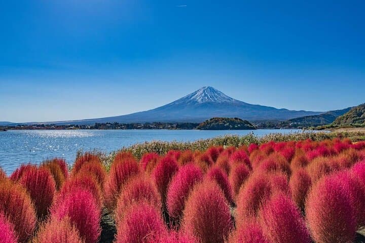 Mount Fuji Panoramic Day Trip from Tokyo — photo 9