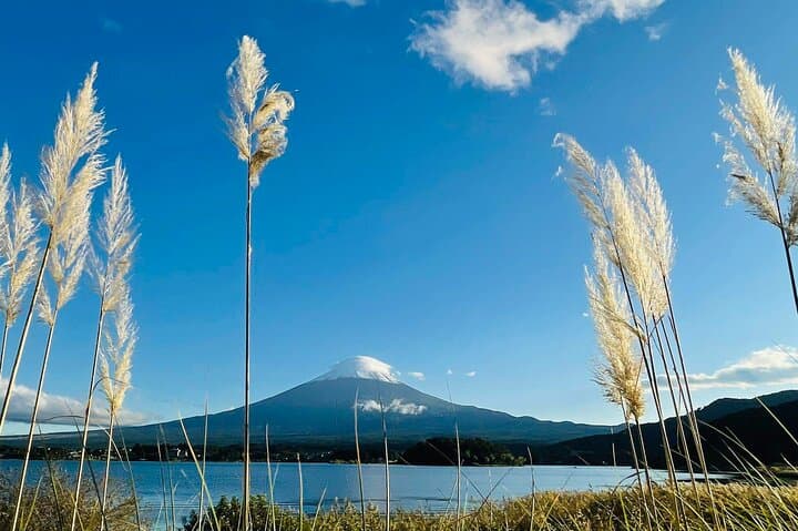 Mount Fuji Panoramic Day Trip from Tokyo — photo 10
