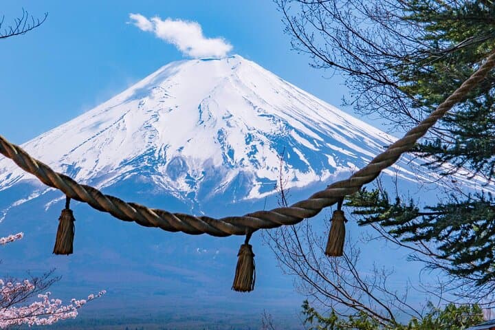 Mount Fuji Panoramic Day Trip from Tokyo — photo 11