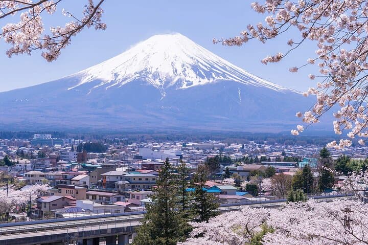 Mount Fuji Panoramic Day Trip from Tokyo — photo 12