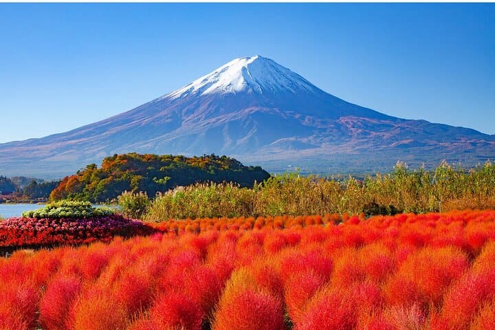 Mount Fuji Panoramic Day Trip from Tokyo — photo 13