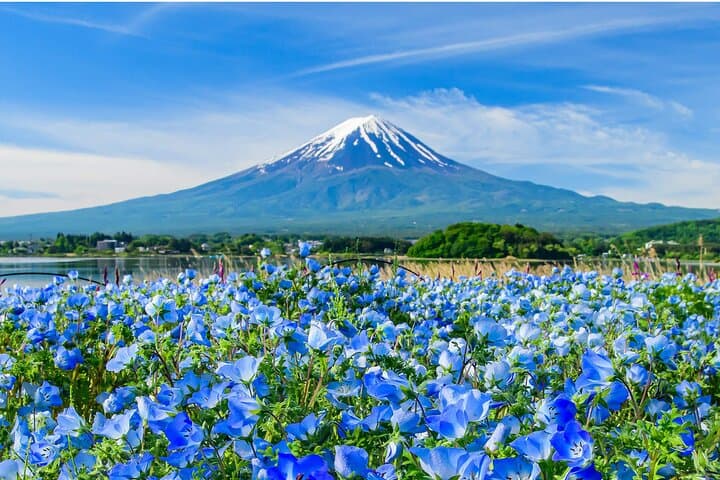 Mount Fuji Panoramic Day Trip from Tokyo — photo 14
