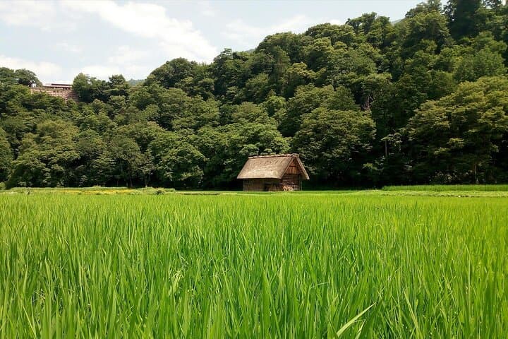 Shirakawago & Kanazawa from Tokyo by bullet train — photo 10