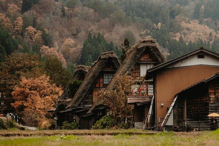 Shirakawago & Kanazawa from Osaka by bullet train — photo 5